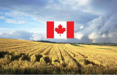 加拿大联邦农业试点AFIP最新政策条件及办理流程